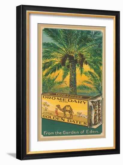 Dromedary Golden Dates-null-Framed Art Print