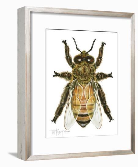 Drone Honey Bee-Tim Knepp-Framed Giclee Print