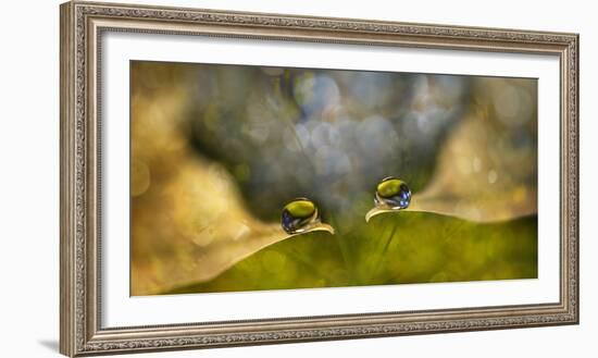 Drop Chat-Heidi Westum-Framed Photographic Print