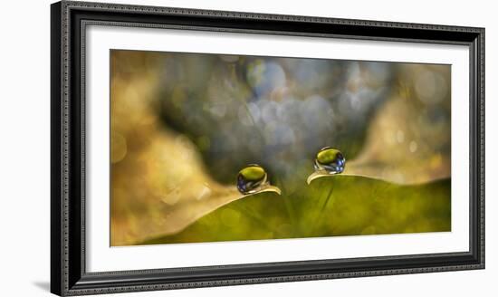 Drop Chat-Heidi Westum-Framed Photographic Print