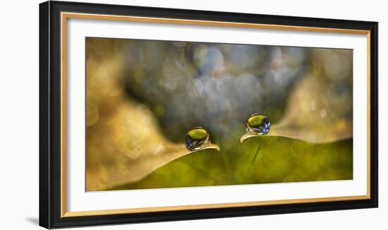 Drop Chat-Heidi Westum-Framed Photographic Print