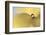 Drop Me on a Leaf-Heidi Westum-Framed Photographic Print