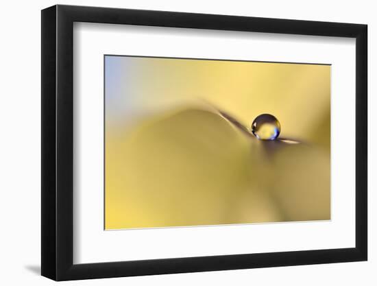 Drop Me on a Leaf-Heidi Westum-Framed Photographic Print