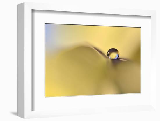 Drop Me on a Leaf-Heidi Westum-Framed Photographic Print