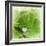 Drop of Rain-Viviane Fedieu Daniel-Framed Photographic Print