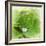 Drop of Rain-Viviane Fedieu Daniel-Framed Photographic Print