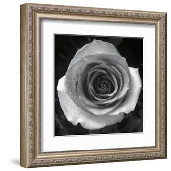 Droplets I-Tom Artin-Framed Art Print