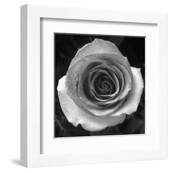Droplets I-Tom Artin-Framed Art Print