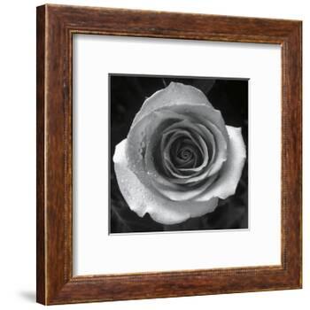 Droplets I-Tom Artin-Framed Art Print