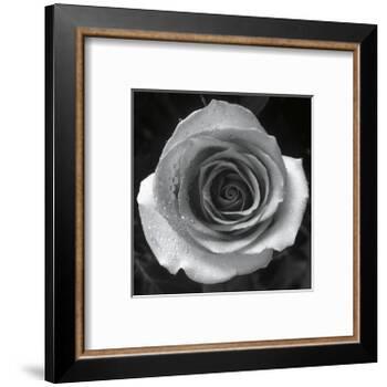 Droplets I-Tom Artin-Framed Art Print