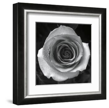 Droplets I-Tom Artin-Framed Art Print