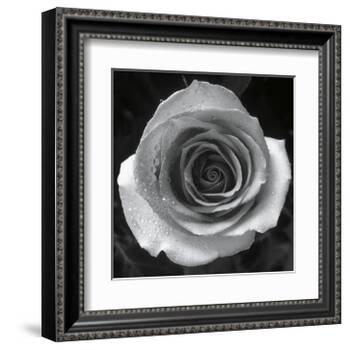 Droplets I-Tom Artin-Framed Art Print