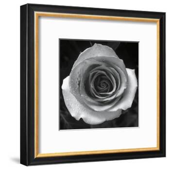 Droplets I-Tom Artin-Framed Art Print
