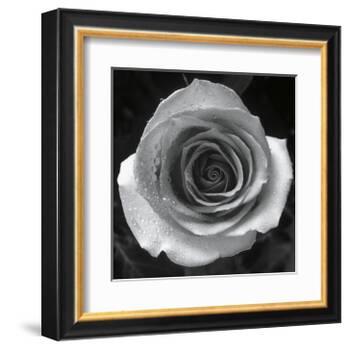 Droplets I-Tom Artin-Framed Art Print