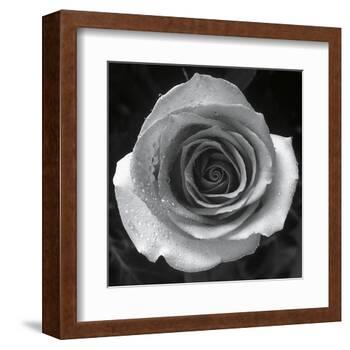 Droplets I-Tom Artin-Framed Art Print