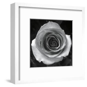Droplets I-Tom Artin-Framed Art Print