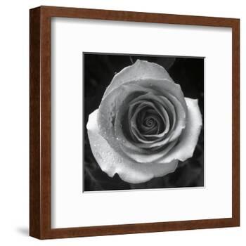 Droplets I-Tom Artin-Framed Art Print