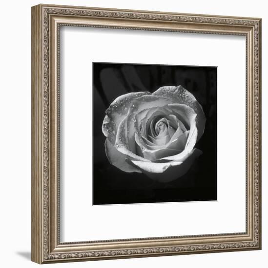 Droplets II-Tom Artin-Framed Art Print