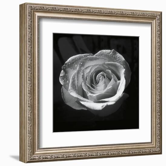 Droplets II-Tom Artin-Framed Art Print