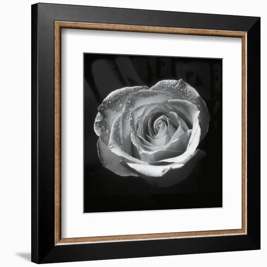 Droplets II-Tom Artin-Framed Art Print