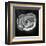 Droplets II-Tom Artin-Framed Art Print