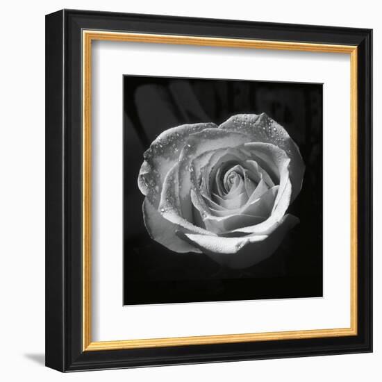 Droplets II-Tom Artin-Framed Art Print