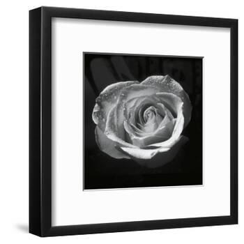 Droplets II-Tom Artin-Framed Art Print