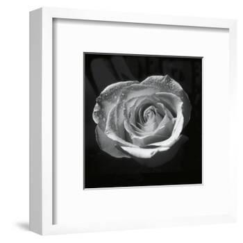 Droplets II-Tom Artin-Framed Art Print