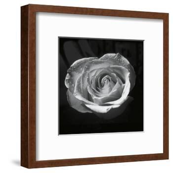 Droplets II-Tom Artin-Framed Art Print