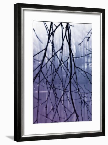 Droplets II-Alan Hausenflock-Framed Photographic Print