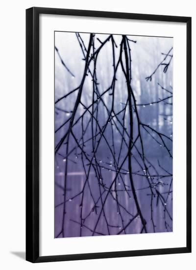 Droplets II-Alan Hausenflock-Framed Photographic Print