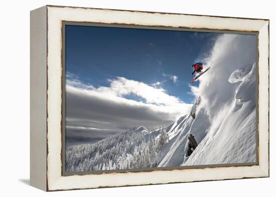 Dropping in-Sandi Bertoncelj-Framed Premier Image Canvas