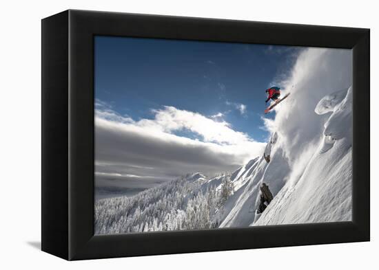 Dropping in-Sandi Bertoncelj-Framed Premier Image Canvas