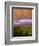 Dropping Low-Art Wolfe-Framed Photographic Print