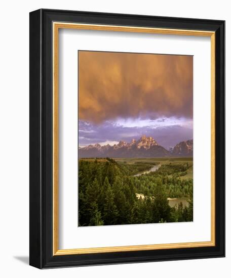 Dropping Low-Art Wolfe-Framed Photographic Print