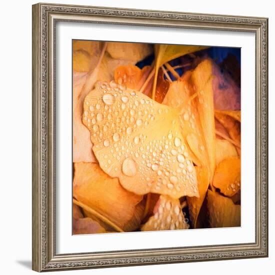 Drops of Life-Philippe Sainte-Laudy-Framed Photographic Print