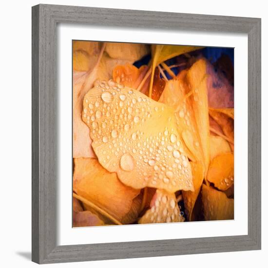 Drops of Life-Philippe Sainte-Laudy-Framed Photographic Print