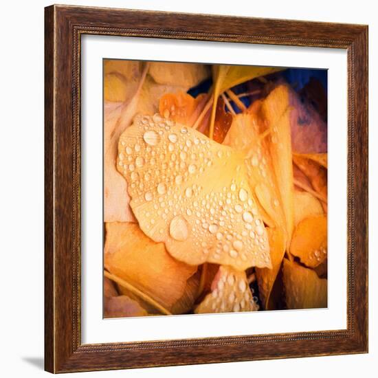 Drops of Life-Philippe Sainte-Laudy-Framed Photographic Print