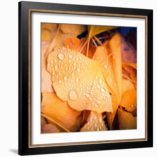 Drops of Life-Philippe Sainte-Laudy-Framed Photographic Print