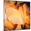 Drops of Life-Philippe Sainte-Laudy-Mounted Photographic Print