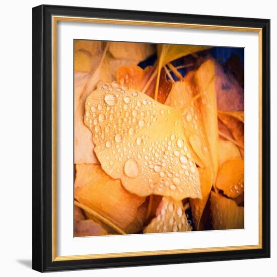 Drops of Life-Philippe Sainte-Laudy-Framed Photographic Print