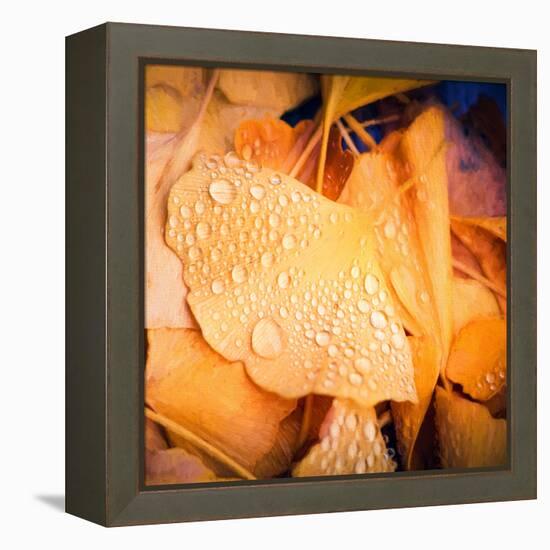 Drops of Life-Philippe Sainte-Laudy-Framed Premier Image Canvas