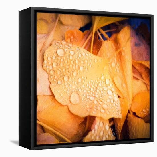 Drops of Life-Philippe Sainte-Laudy-Framed Premier Image Canvas