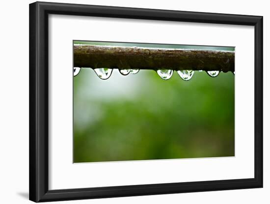 Drops of water II-Peter Morneau-Framed Art Print
