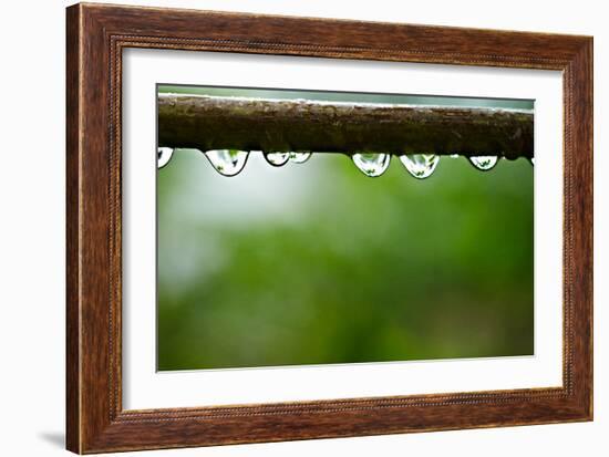 Drops of water II-Peter Morneau-Framed Art Print