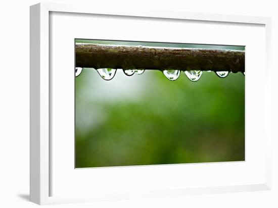 Drops of water II-Peter Morneau-Framed Art Print