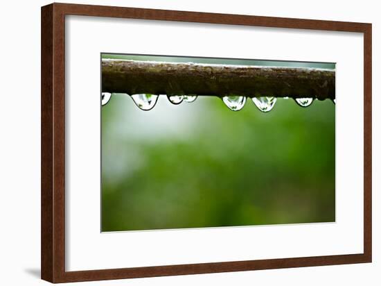 Drops of water II-Peter Morneau-Framed Art Print