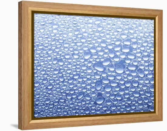 Drops of Water on Sheet of Glass with Blue Background-Marc O^ Finley-Framed Premier Image Canvas
