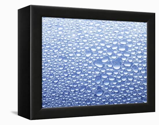 Drops of Water on Sheet of Glass with Blue Background-Marc O^ Finley-Framed Premier Image Canvas