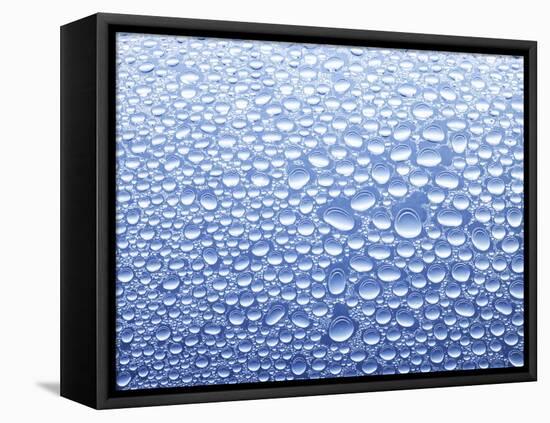 Drops of Water on Sheet of Glass with Blue Background-Marc O^ Finley-Framed Premier Image Canvas